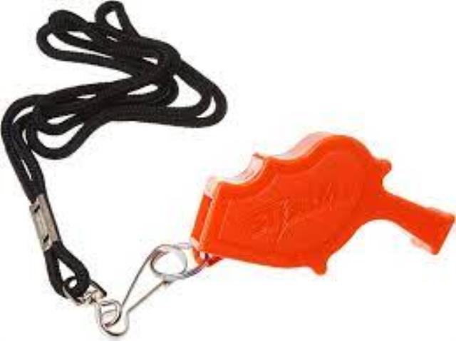 Rental store for STORM WHISTLE w LANYARD in Birmingham AL